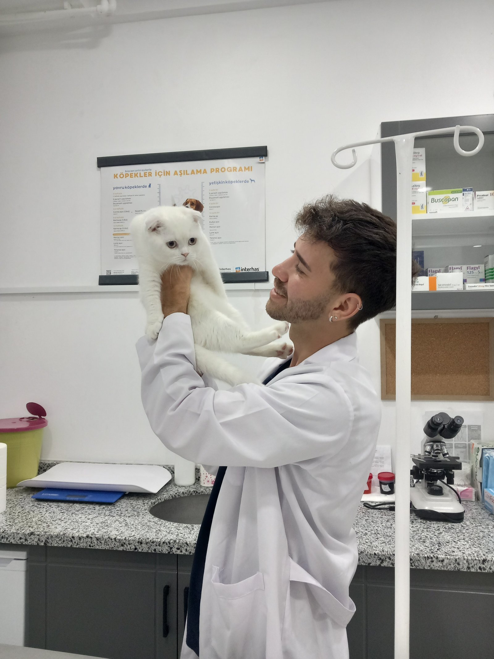Kedi1