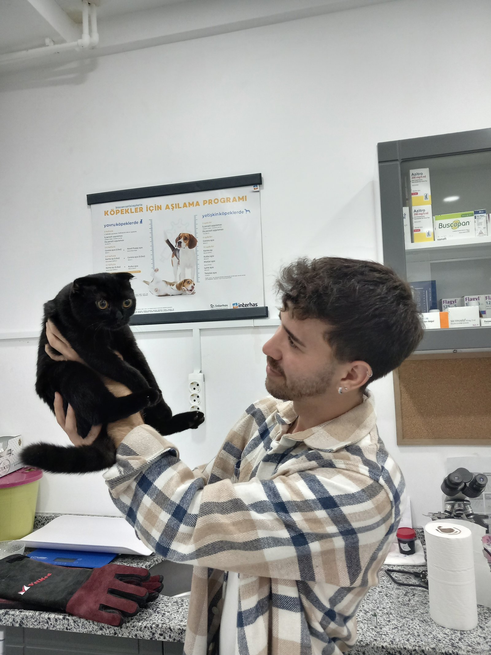 kedi2