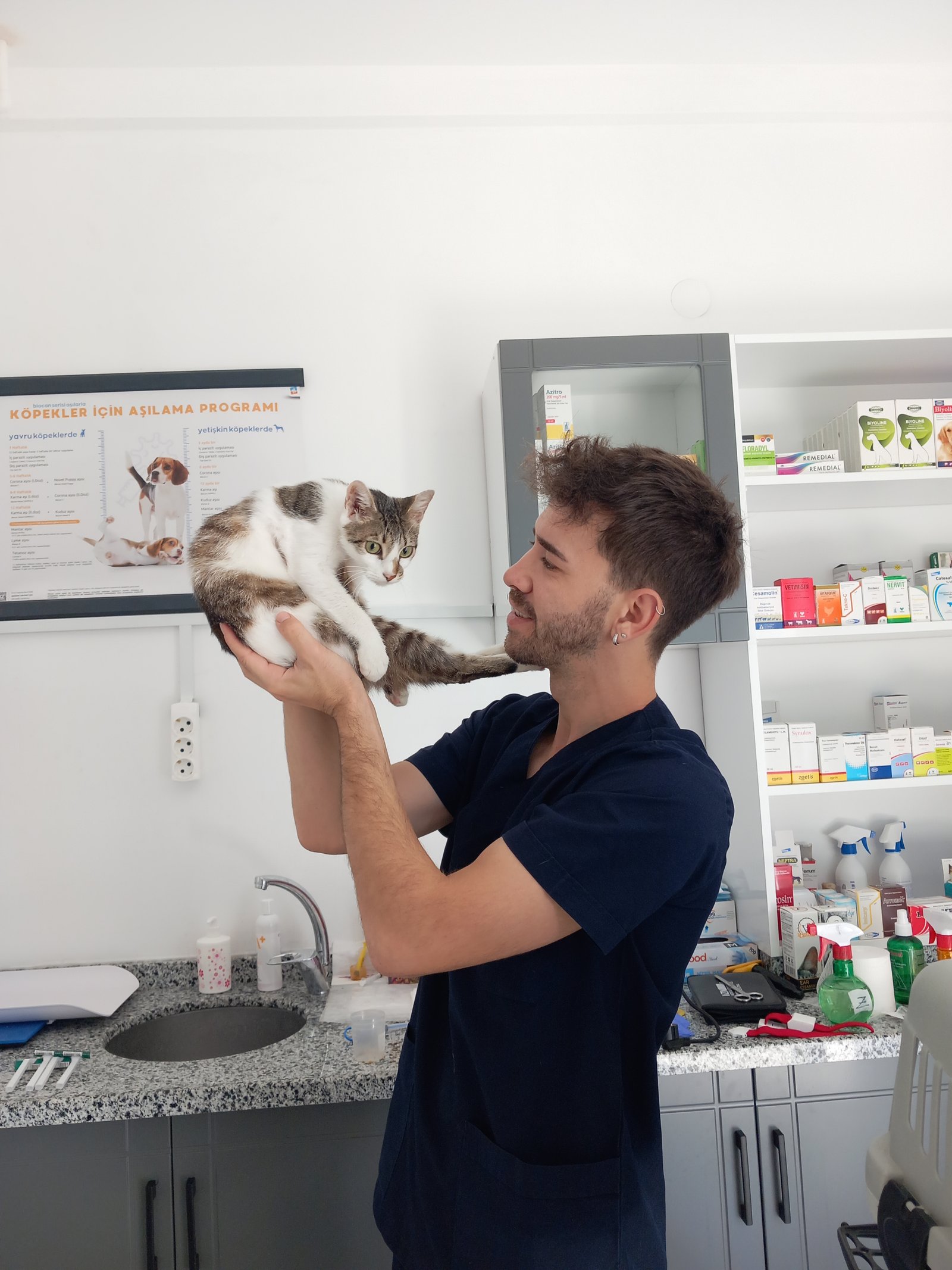 kedi3