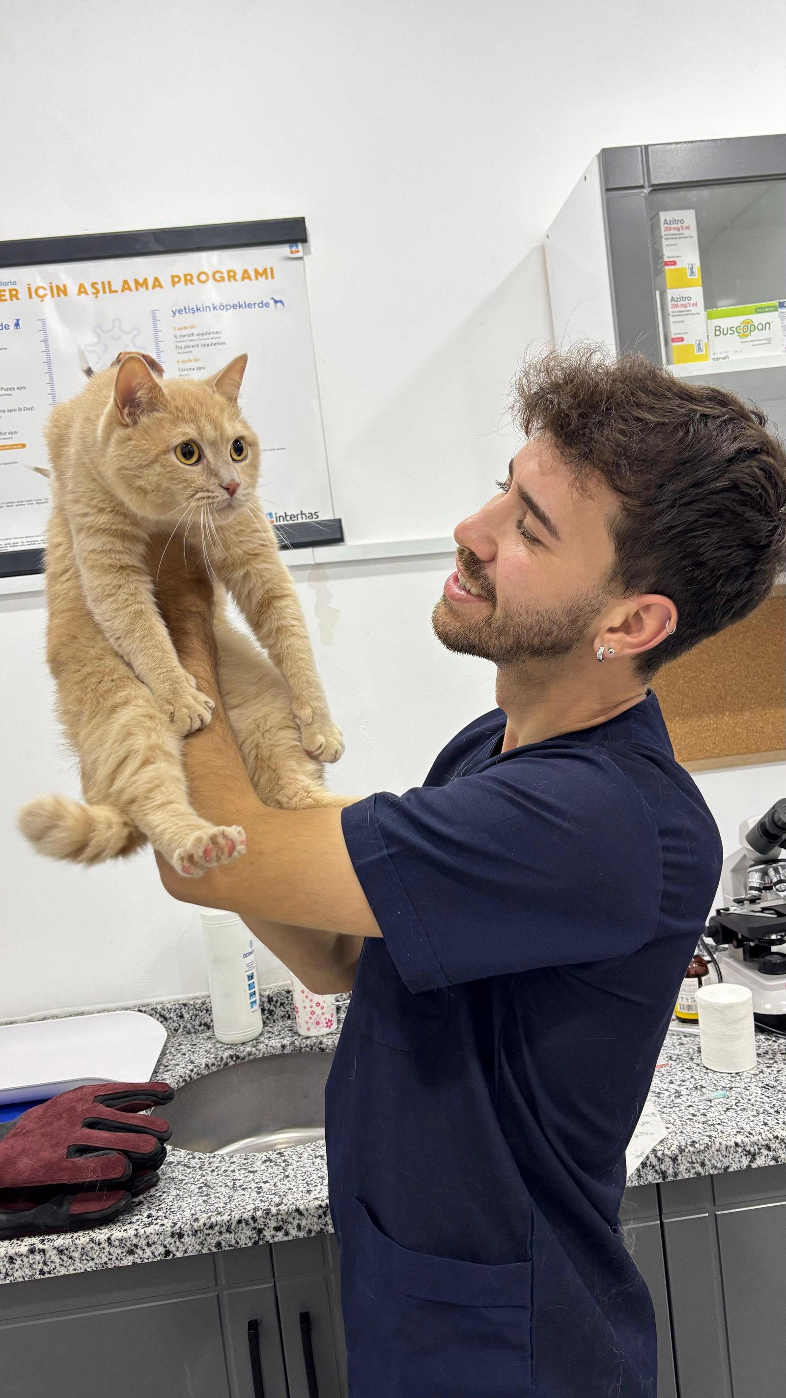 kedi4