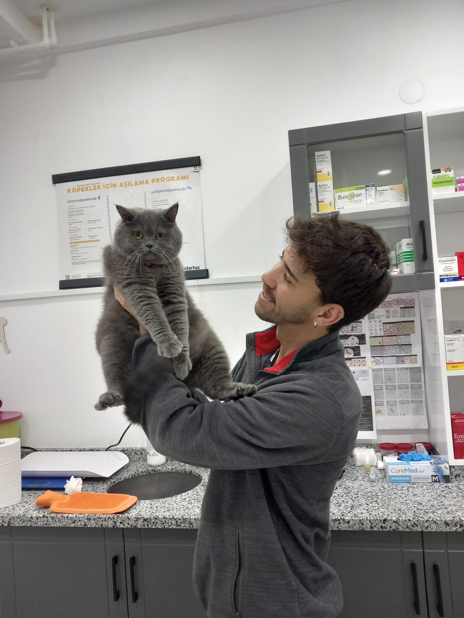 Kedi5