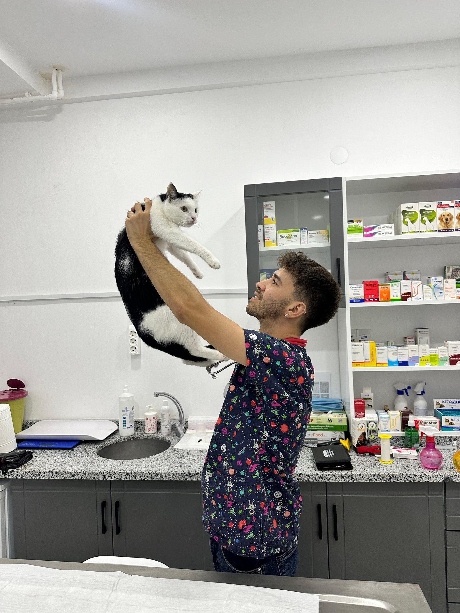 Kedi6